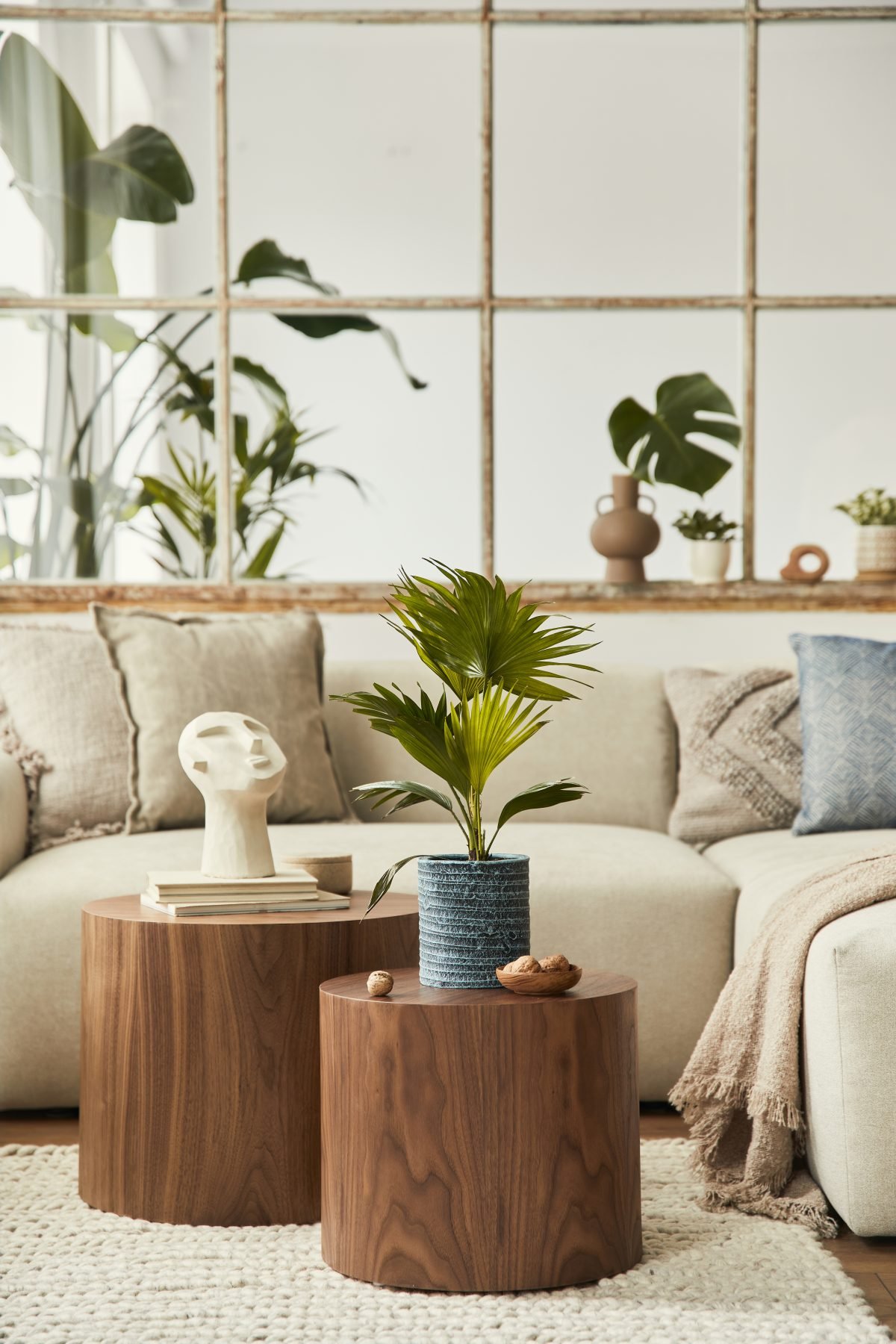 Intérieur avec plantes et décoration contemporaine, l’univers de Maison du Meuble à Coulommiers