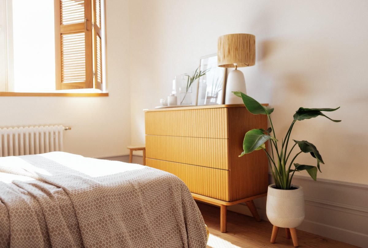 Commode en bois et plante dans une chambre chaleureuse